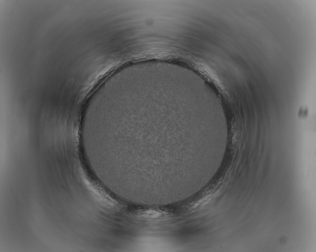 X0000090470542200707201356
