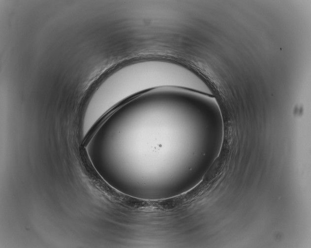 X0000090470544200707201356