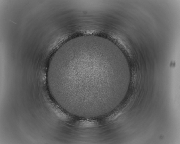 X0000090470545200707201356