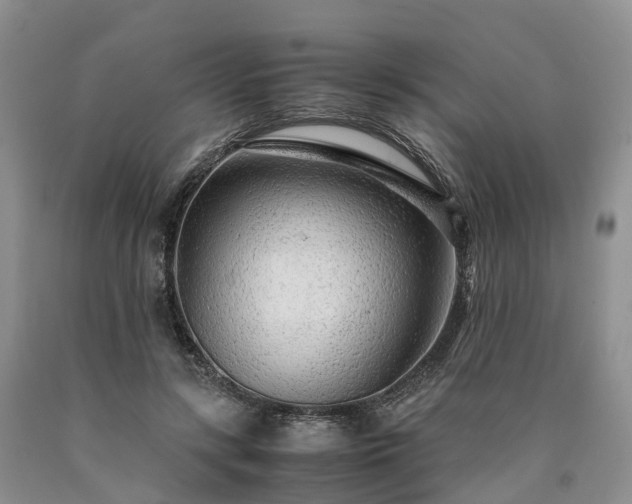 X0000090470547200707201356