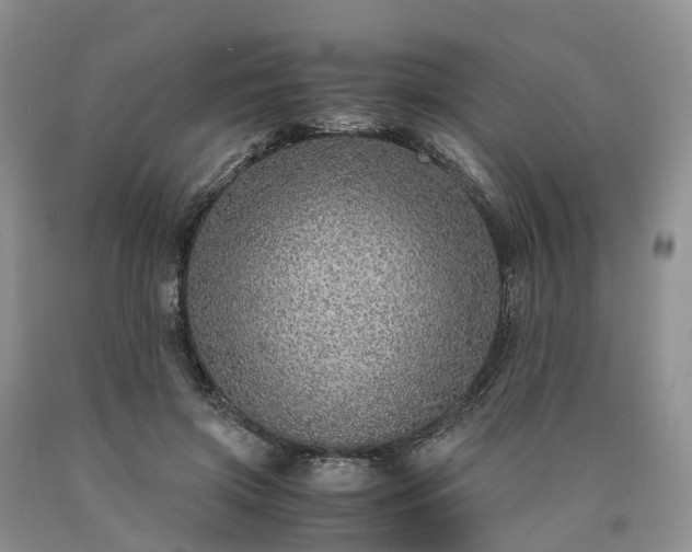 X0000090470549200707201356