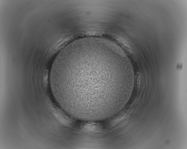 X0000090470550200707201356