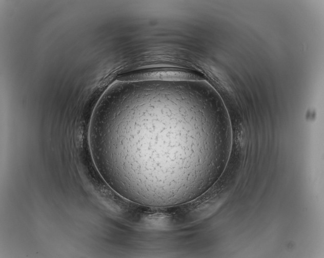 X0000090470551200707201356