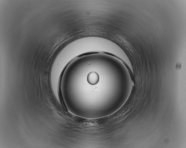 X0000090470552200707201356