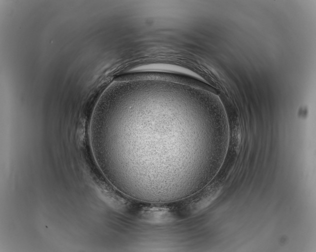 X0000090470554200707201356