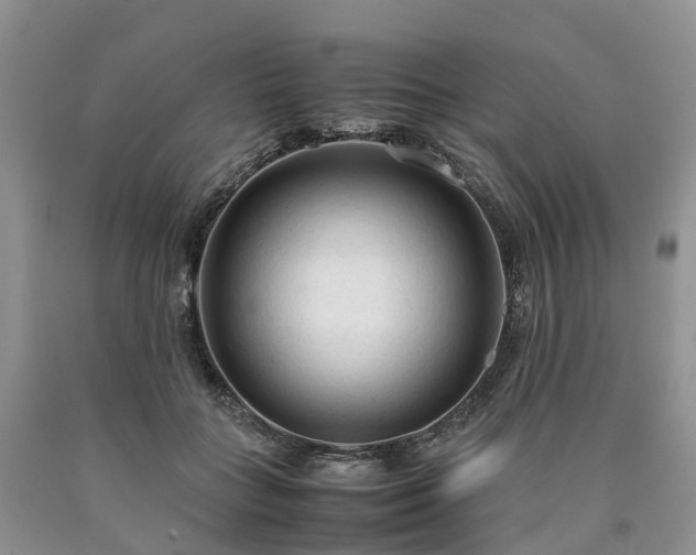 X0000090470555200707201356
