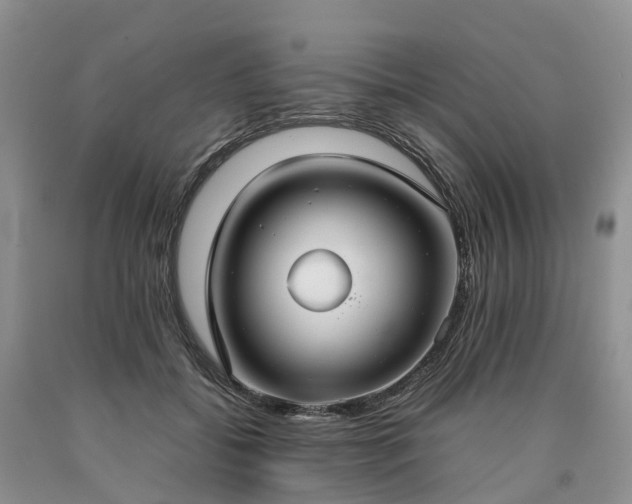 X0000090470556200707201356