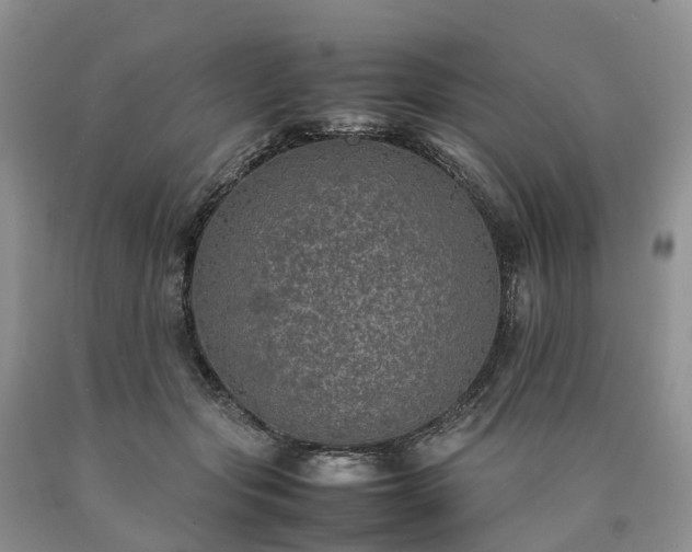X0000090470557200707201356