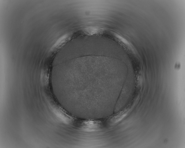 X0000090470558200707201356