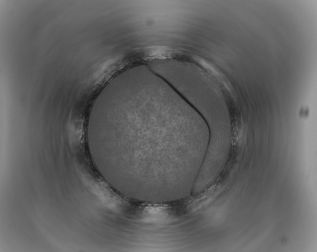 X0000090470560200707201356