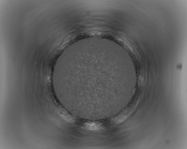 X0000090470561200707201356