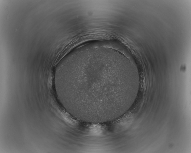 X0000090470562200707201356