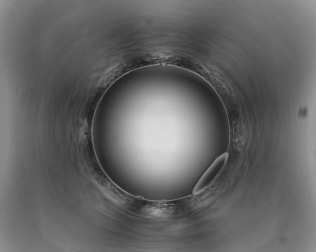 X0000090470563200707201356