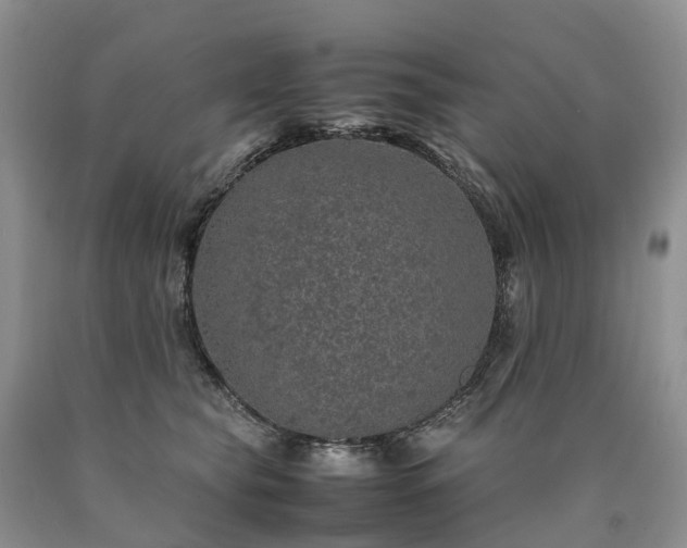 X0000090470565200707201356