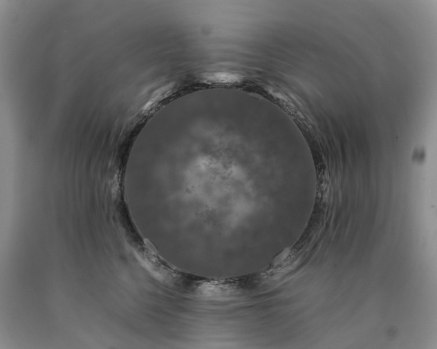 X0000090470568200707201356