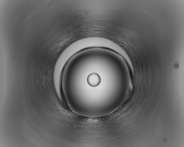 X0000090470570200707201356