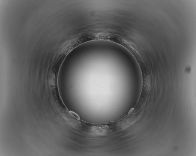 X0000090470571200707201356