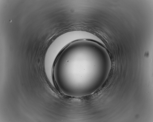 X0000090470572200707201356
