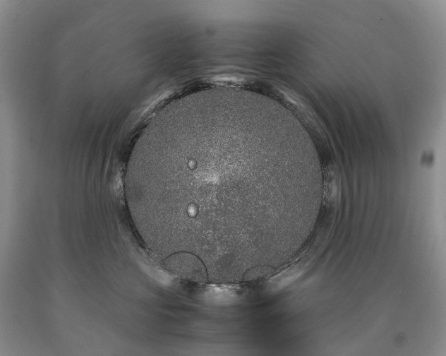 X0000090470573200707201356