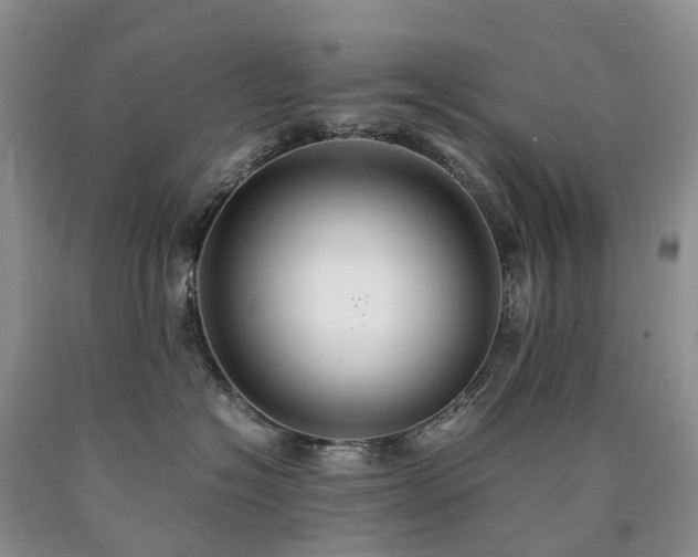 X0000090470574200707201356