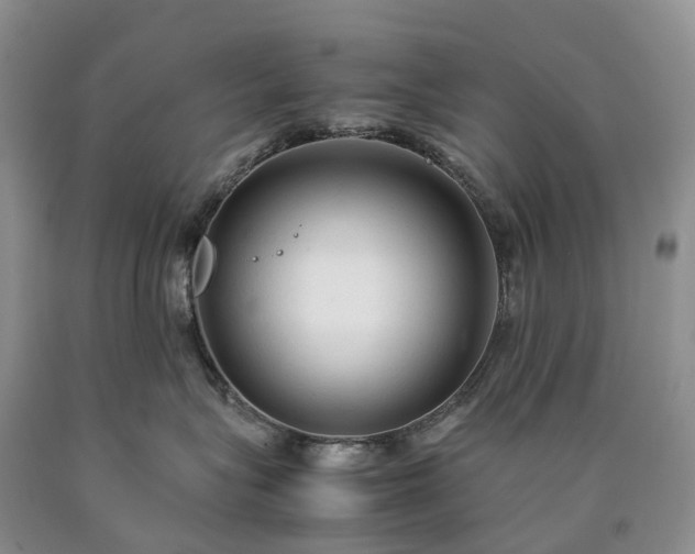 X0000090470575200707201356