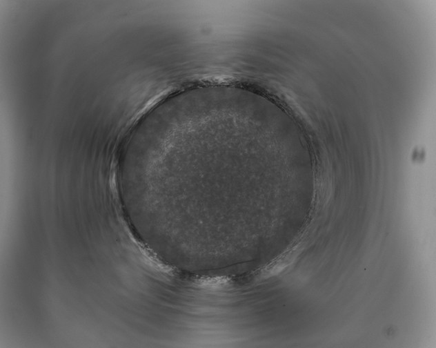 X0000090470576200707201357