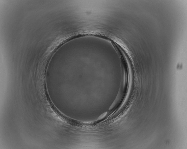 X0000090470577200707201356