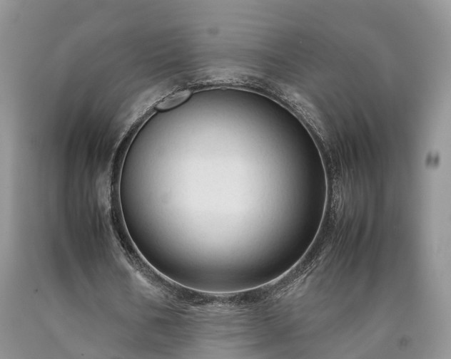 X0000090470578200707201356