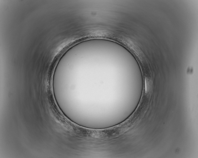 X0000090470579200707201356