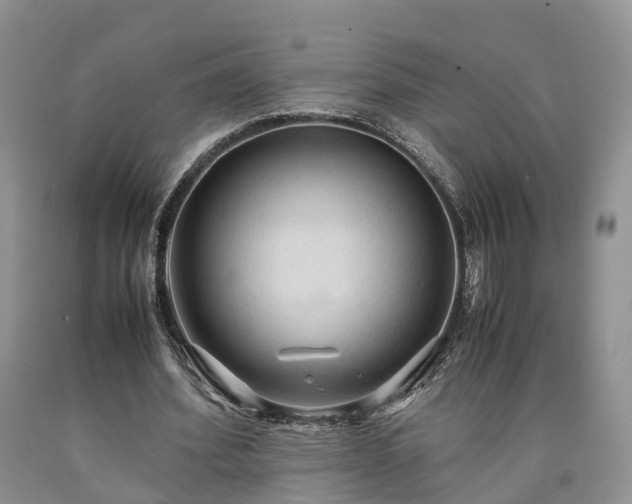 X0000090470580200707201356