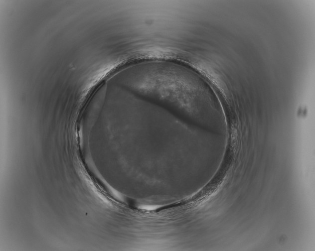 X0000090470581200707201356