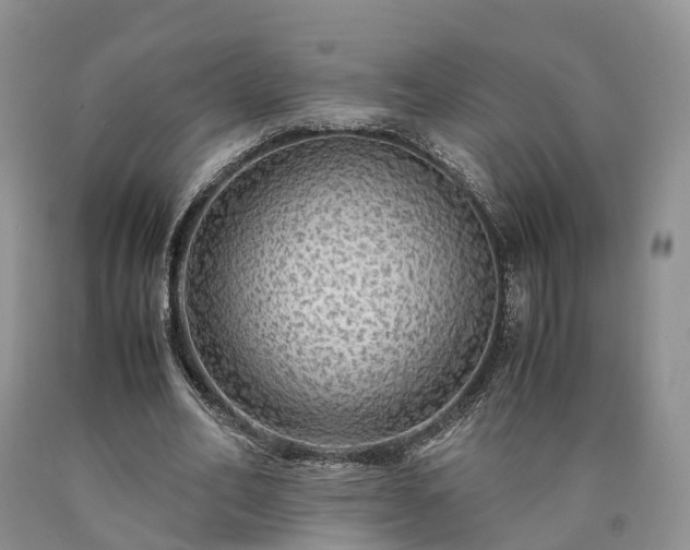 X0000090470582200707201356
