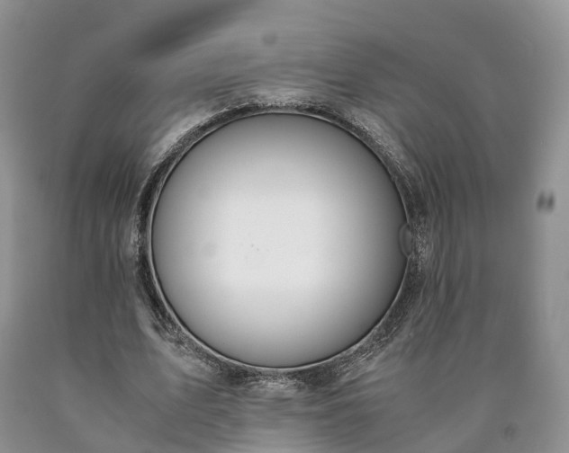 X0000090470583200707201356