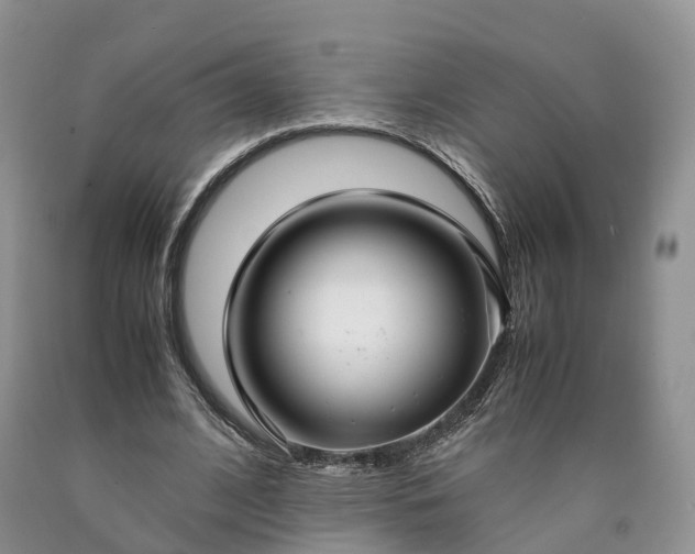 X0000090470584200707201356