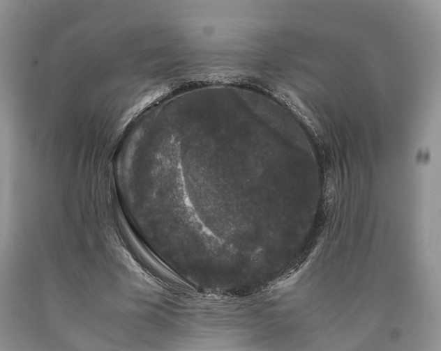 X0000090470585200707201356