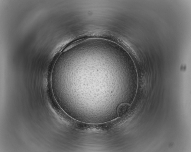 X0000090470586200707201356