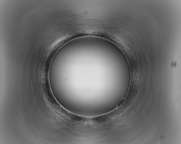 X0000090470587200707201356