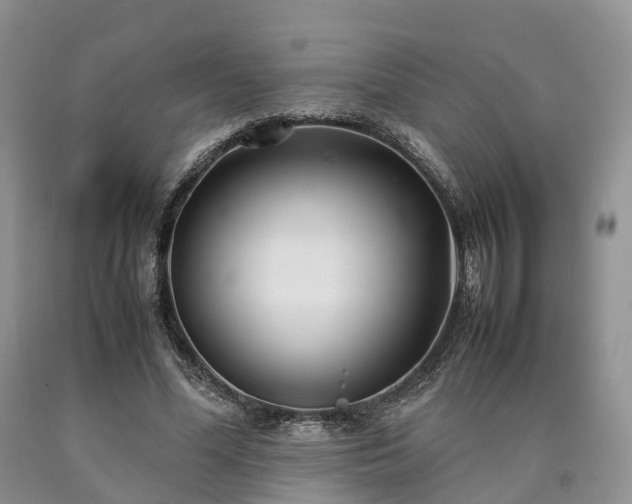 X0000090470588200707201356