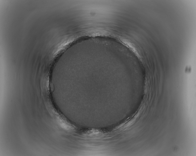 X0000090470589200707201356