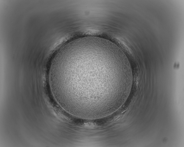 X0000090470591200707201356