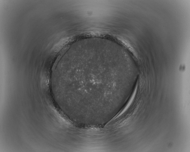 X0000090470593200707201356