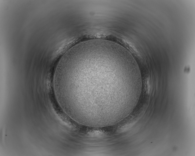 X0000090470594200707201356