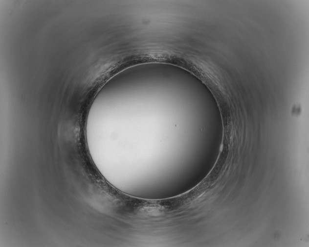 X0000090470595200707201356