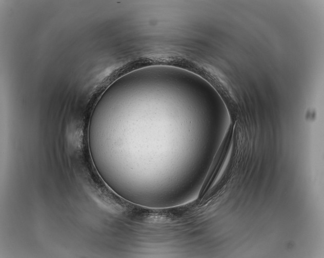 X0000090470596200707201356