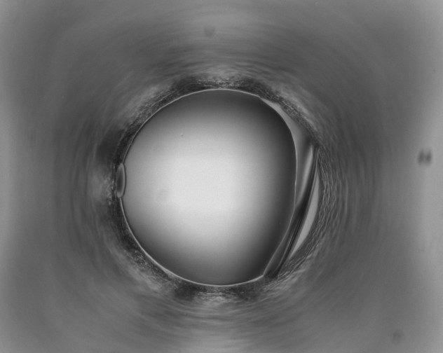X0000090470597200707201356