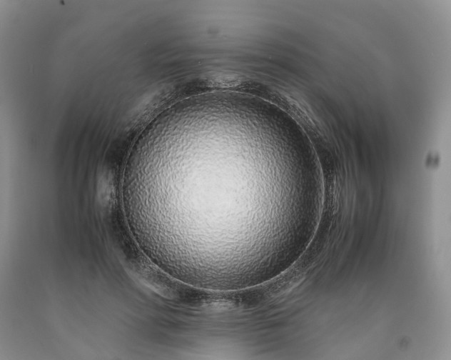 X0000090470598200707201356