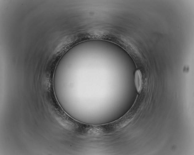 X0000090470599200707201356