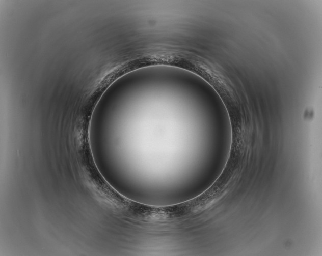 X0000090470600200707201356