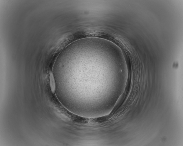 X0000090470601200707201356