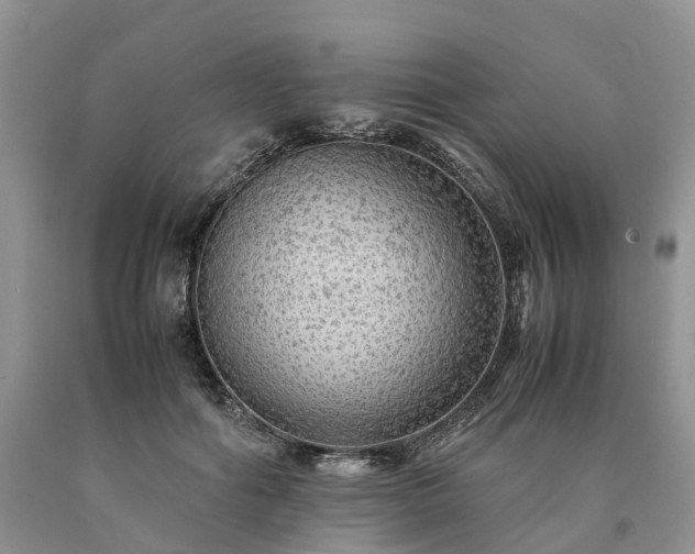 X0000090470602200707201356